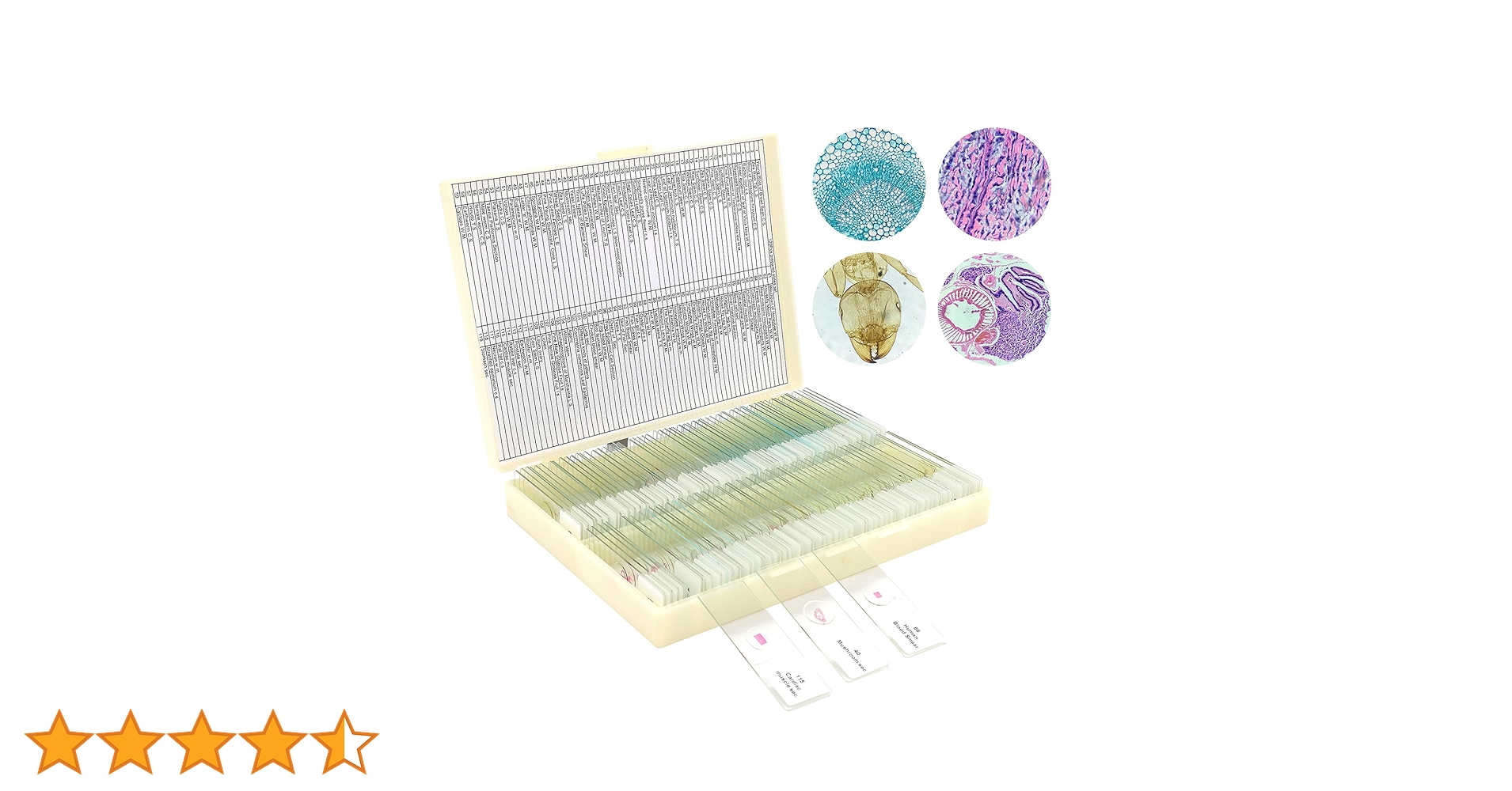 顕微鏡プレパラート　生理　30種　昭和物 顕微鏡プレパラート 生理 30種 昭和物